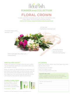 floral crown - HoopLA Blog
