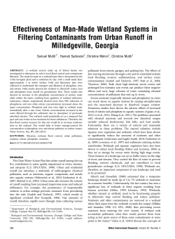 Effectiveness of Man-Made Wetland Systems in