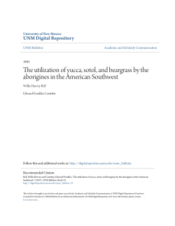 The utilization of yucca, sotol, and beargrass by the aborigines in the