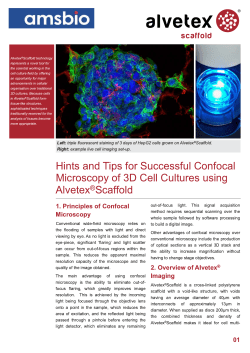 Hints and Tips for Successful Confocal Microscopy of 3D