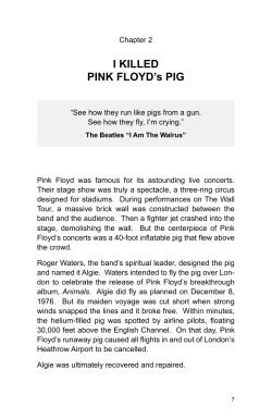 I Killed Pink Floyd`s Pig Home
