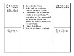 Carbon Dioxide Water Glucose Oxygen - Science