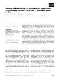 Genome-wide identification, classification, evolutionary expansion