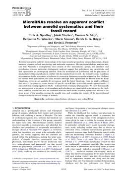 MicroRNAs resolve an apparent conflict between annelid