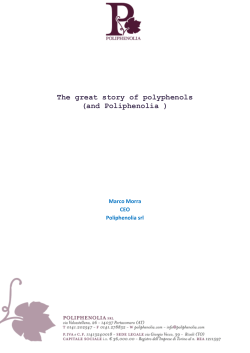The great story of polyphenols (and Poliphenolia )