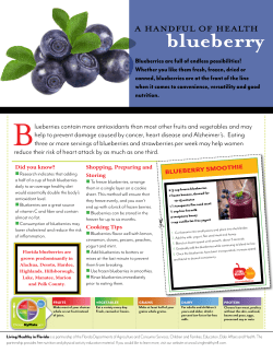 Blueberry flyer