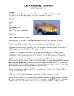Lab #1 Observing Homeostasis