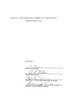 LOCATION OF THE CAROTENOID PIGMENTS OF