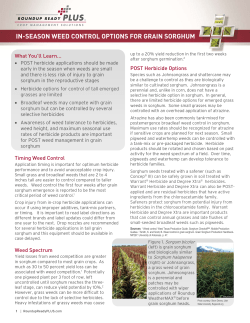 PDF - Roundup Ready PLUS