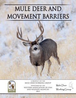 mule deer and movement barriers