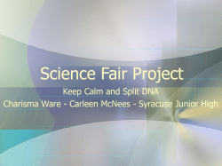 Gel Electrophoresis Chamber