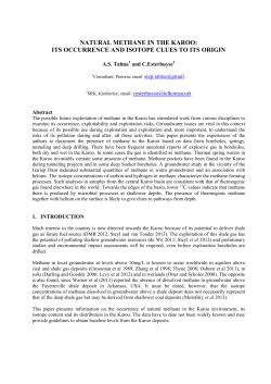 Paper Format Guidelines