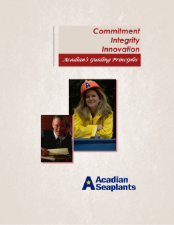 Commitment Integrity Innovation