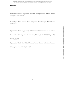 Involvement of the spinal angiotensin II system in streptozotocin