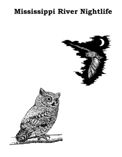 Full Curriculum  - National Mississippi River Museum