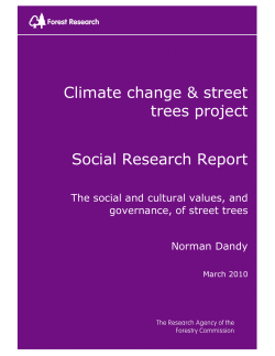 The social and cultural values, and governance, of street trees