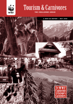 1223 Report PDF A/W h