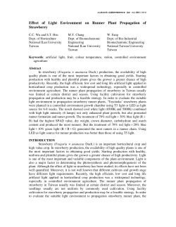 Effect of Light Environment on Runner Plant Propagation of Strawberry