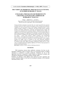 the verify of probiotic preparate in fattening of hybrid hubbard jv