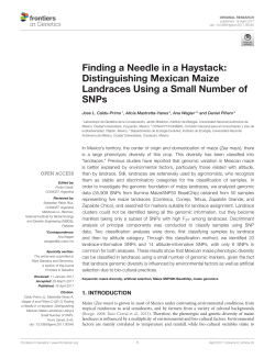 Finding a Needle in a Haystack: Distinguishing Mexican Maize
