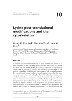 10 Lysine post-translational modifications and the cytoskeleton