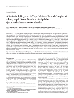 A Syntaxin 1, G o, and N-Type Calcium Channel Complex at a