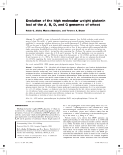 Evolution of the high molecular weight glutenin loci of the A, B, D