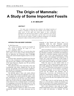 The Origin of Mammals: A Study of Some Important Fossils