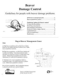 Beaver Damage Control Guidelines