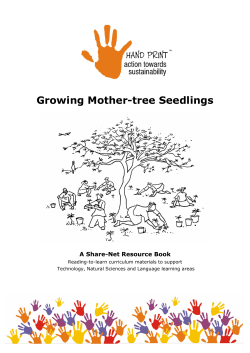 Growing Mother-tree Seedlings