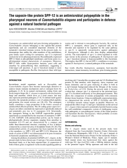 The saposin-like protein SPP-12 is an antimicrobial polypeptide in