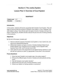Section 4: The Justice System Lesson Plan 3