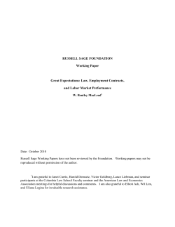Law, Employment Contracts, and Labor Market Performance
