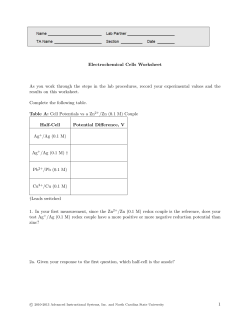 header.jpg Electrochemical Cells Worksheet As you work through