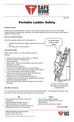 Portable Ladder Safety
