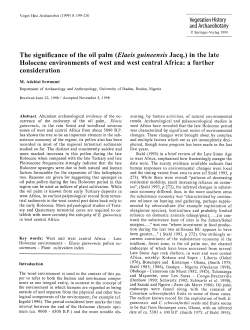 The significance of the oil palm