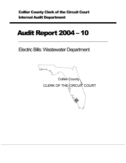 Audit Report 2004 &ndash; 10
