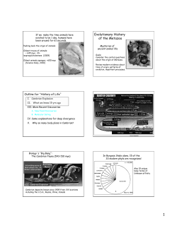 Evolutionary History of the Metazoa