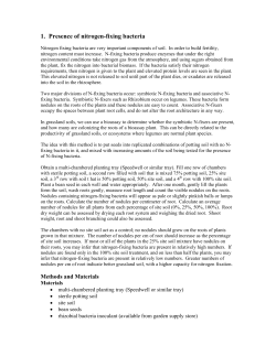 1. Presence of nitrogen-fixing bacteria