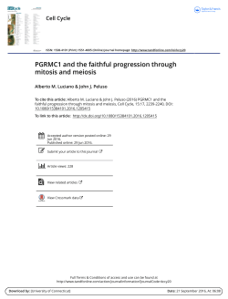 PGRMC1 and the faithful progression through mitosis and meiosis