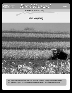 Dust Bowl_Strip Cropping.indd