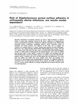 Role of Staphylococcus aureus surface adhesins in orthopaedic