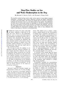 Stop-Flow Studies on Ion and Water Reabsorption in