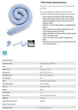 PIG&reg; Water-Absorbing Sock