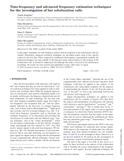 Time-frequency and advanced frequency estimation
