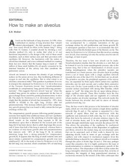 How to make an alveolus