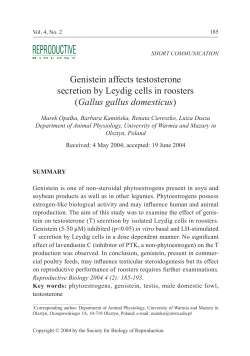 Genistein affects testosterone secretion by Leydig cells in roosters