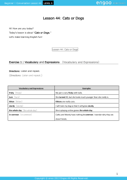 Lesson 44: Cats or Dogs
