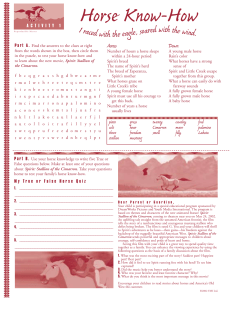 + Spirit Activities - DreamWorks Animation