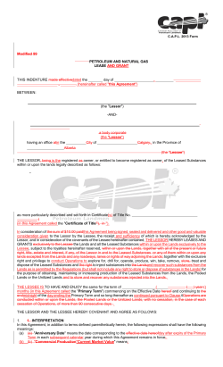 petroleum and natural gas lease